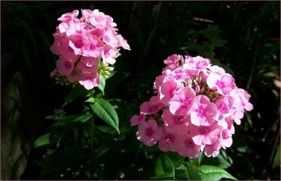 g6/79/738779/3/82726444.QD6lb2Rs.jpg