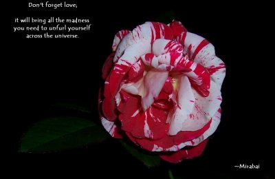 g6/79/738779/3/87093349.BTlyTdjQ.jpg