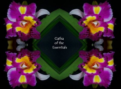 Gatha of the Essentials in 3 Verses