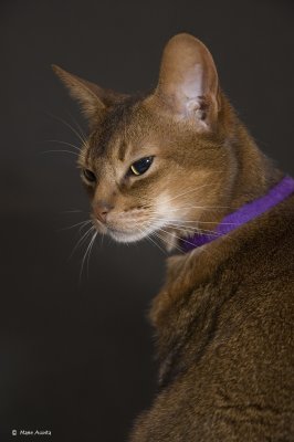 Is this my good side?