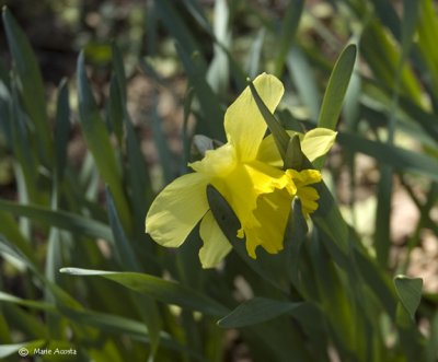 I think spring is here!
