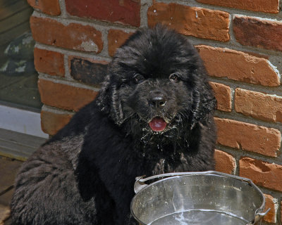 Nelson_11wks-0025