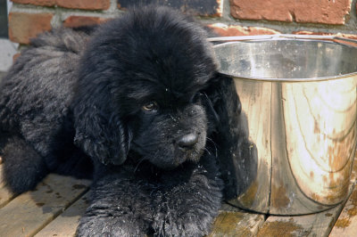 Nelson_11wks-0030