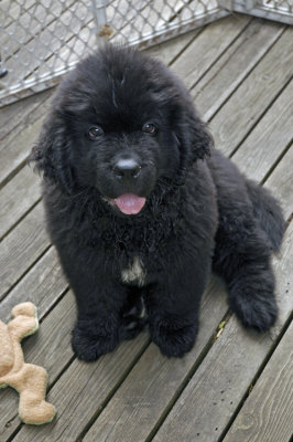 Nelson_11wks-0053