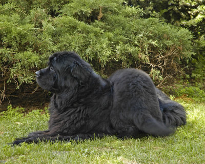 Nelson_11wks-0072