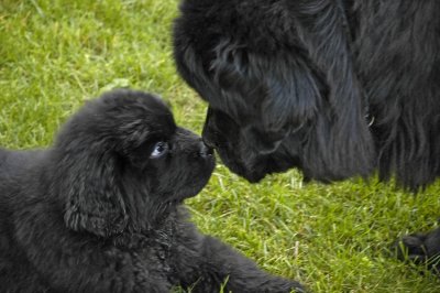 Nelson_11wks-0079