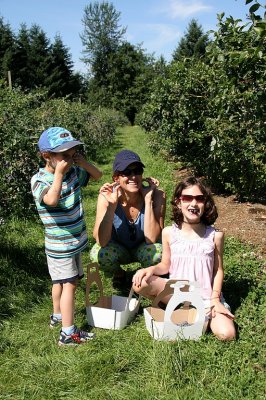 Blueberry Picking in Langely, BC