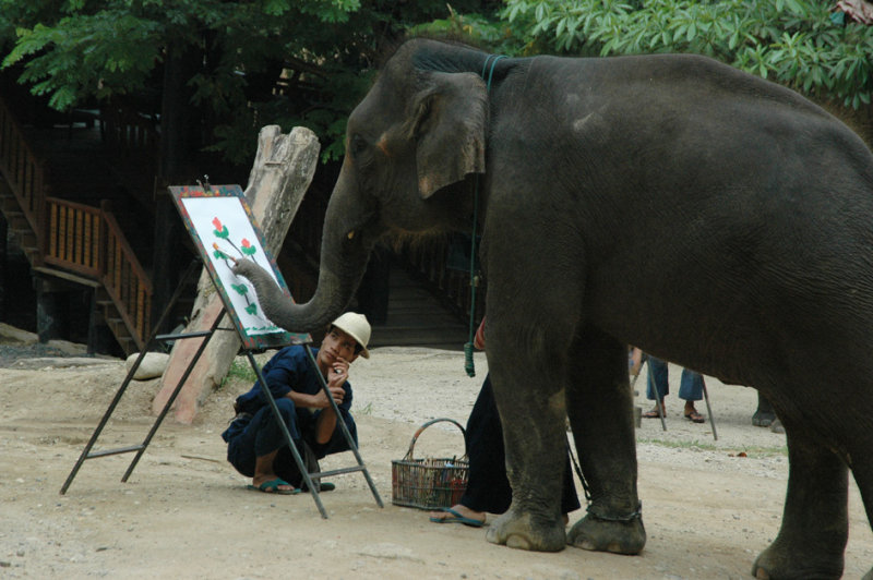 0410TH2289E - Elephant painting, Chiang Mai, THAILAND