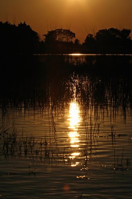 Africa0021.jpg