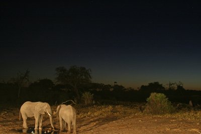 Africa0025.jpg