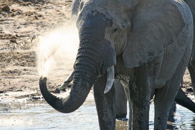 Africa0029.jpg