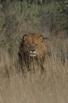 Africa0032.jpg