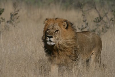 Africa0033.jpg