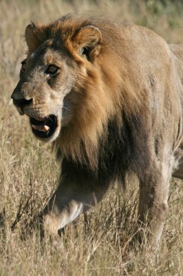 Africa0034.jpg