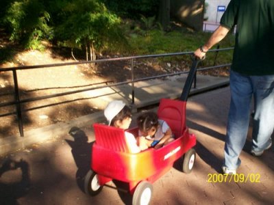 A trip to the Zoo