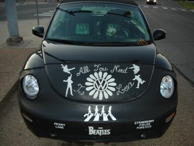 Real Beatle Bug