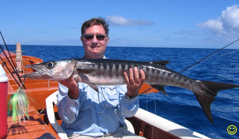 Christmas island barracuda