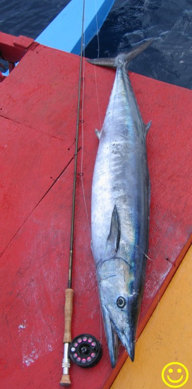 Kiritimati Wahoo