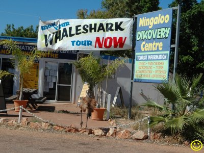 Exmouth Whaleshark tours Ningaloo reef