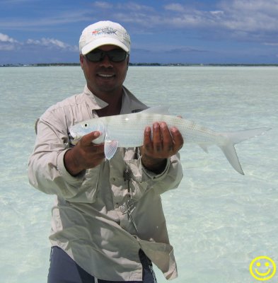 Mini Hotel guide with bonefish