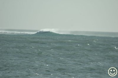 DSC_2777 reef break.jpg