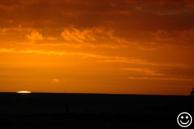 DSC_2846 almost gone.jpg