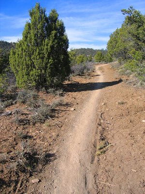localride__007_86.jpg