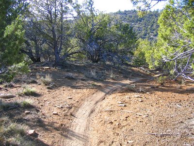 localride__010_86.jpg