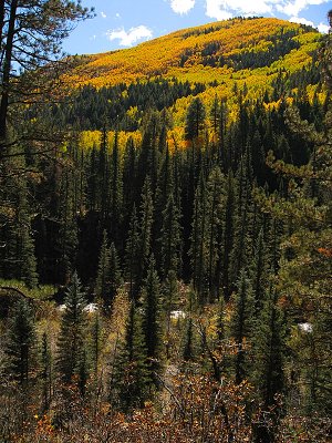 hermosacreek_023_86.jpg