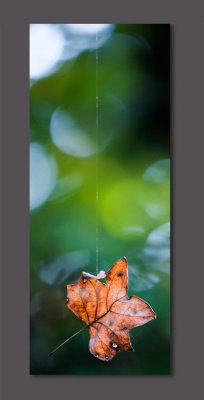 g6/80/394380/3/77707114.G1PfWDEP.jpg