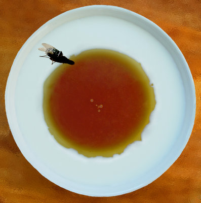 Almost milk and honey - Challenge 88 :Liquids