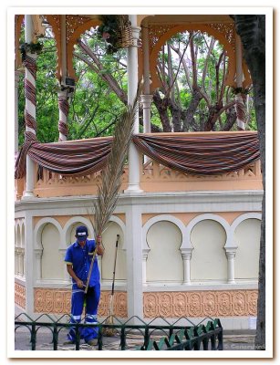 Trimming Palm Branches.jpg