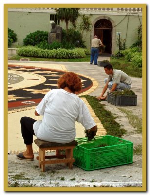 Edging with Chopped Heather.jpg