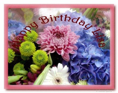 HB Lisa.jpg
