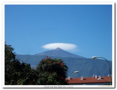 More Tenerife Walks