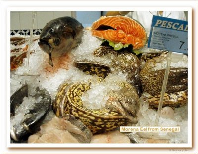 Fish Market Eels.jpg
