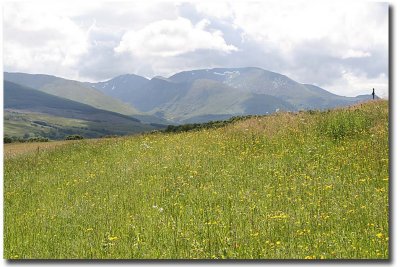 7966 Summer snow on Ben Nevis