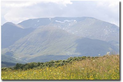 7964 Summer snow on Ben Nevis