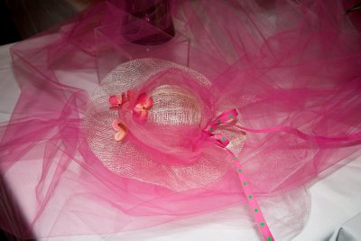 ECWcancerIMG_2835.jpg