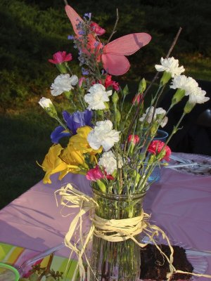 DSC00098.JPG