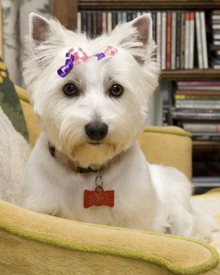 abbycloseIMG_3249.jpg