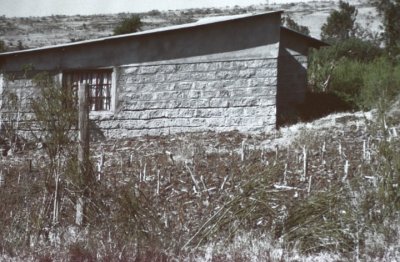 tiptonsIMG_3465.jpg