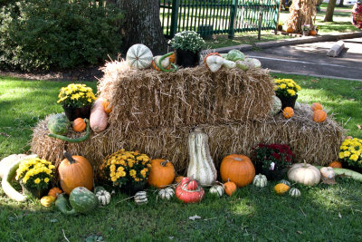 fallarrangementIMG_0059.jpg