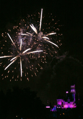Disneyland Fireworks 08