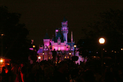 Visit to Disneyland