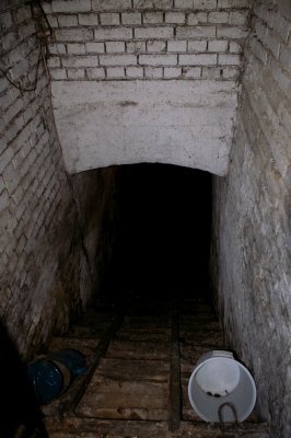 sljivovica cellar 1