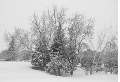 DSC_0039.jpg