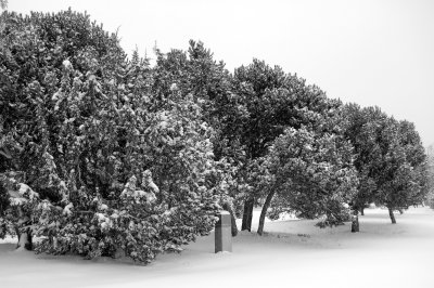 DSC_0093.JPG