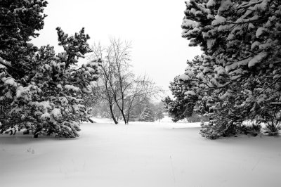 DSC_0220.JPG