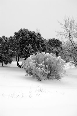 DSC_0029.jpg